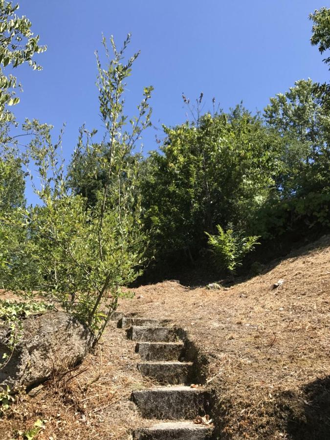 Vila Quinta Do Ladario Várzea Ovelha e Aliviada Exteriér fotografie